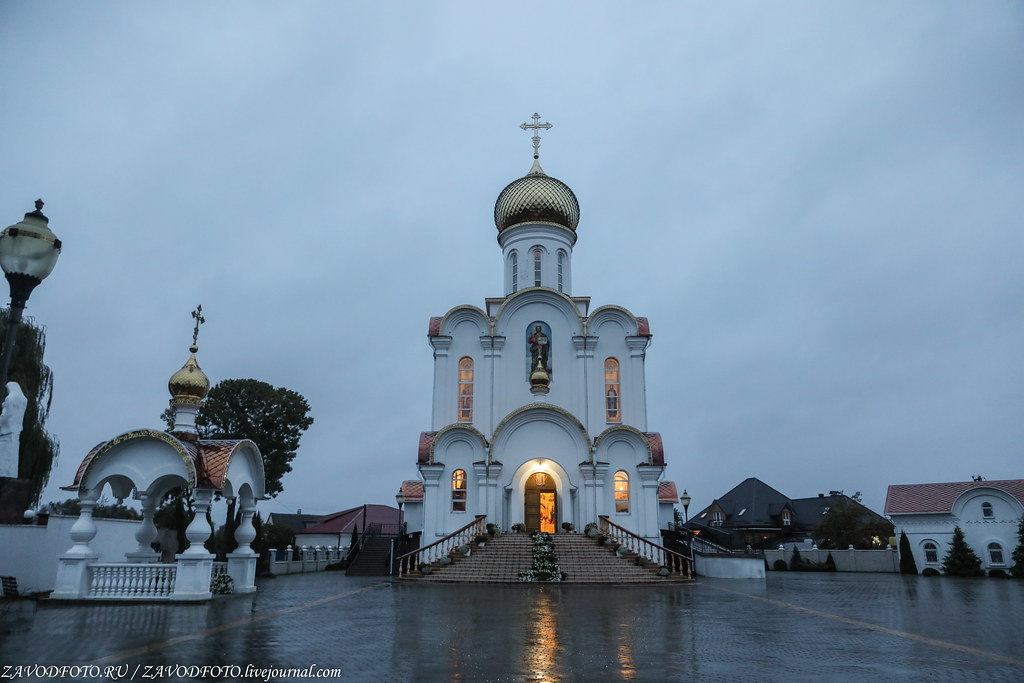 48904500491_a853c349c7_b (1).jpg